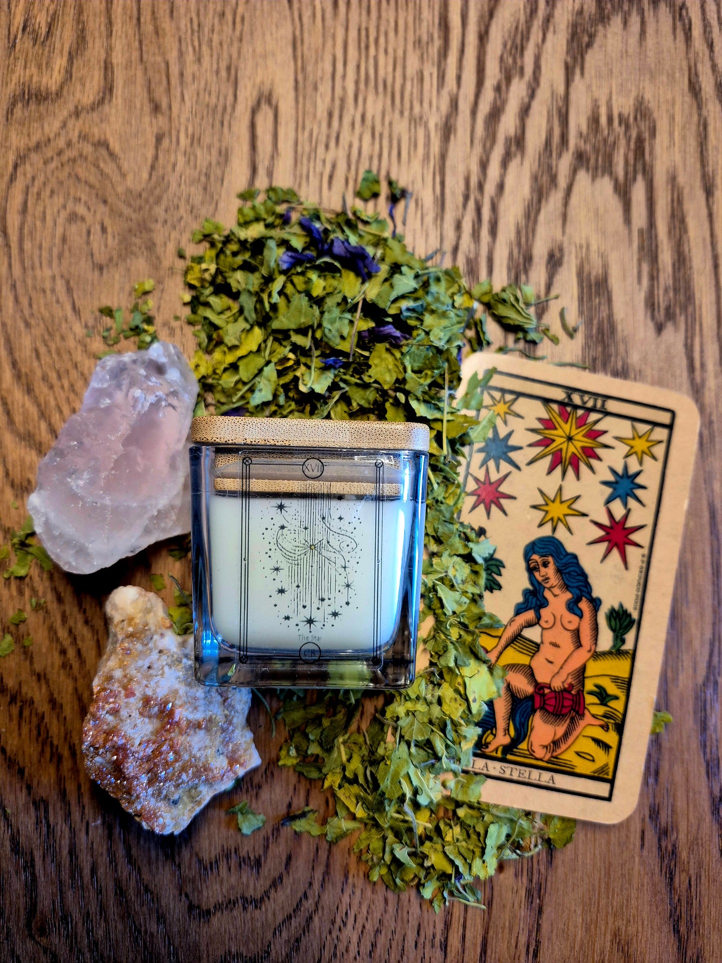 XVII - Candela della Stella