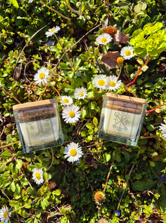 "Primavera e Tarocchi: Il Messaggio dello Sbocciare