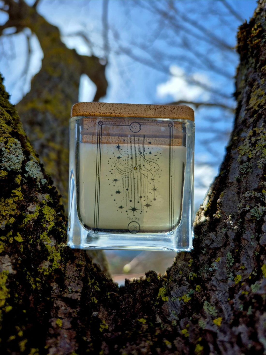 La Stella nei Tarocchi: Speranza, Luce e Rinascita ✨