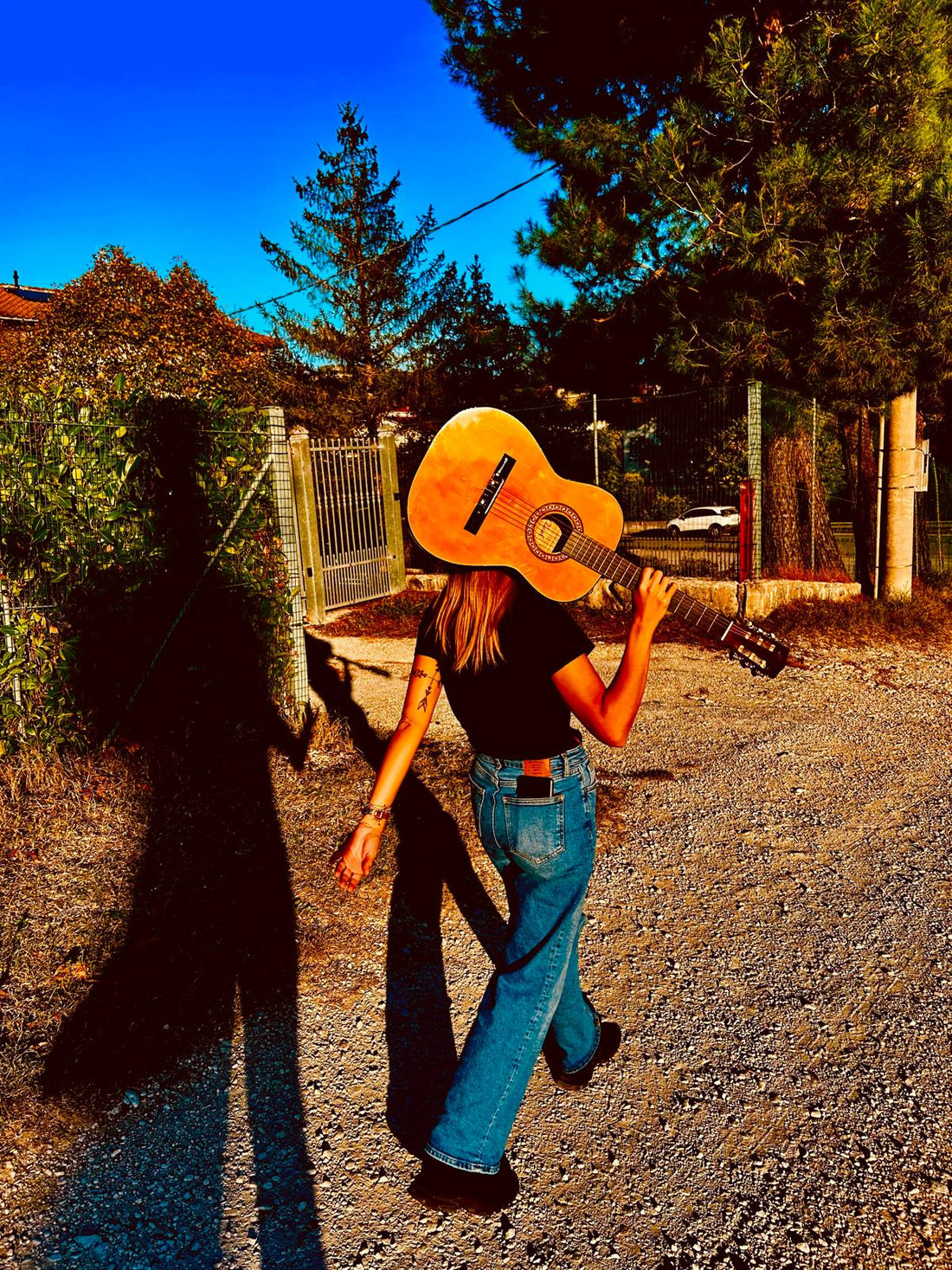 Musica e Tarocchi: Un Viaggio tra Armonia e Archetipi