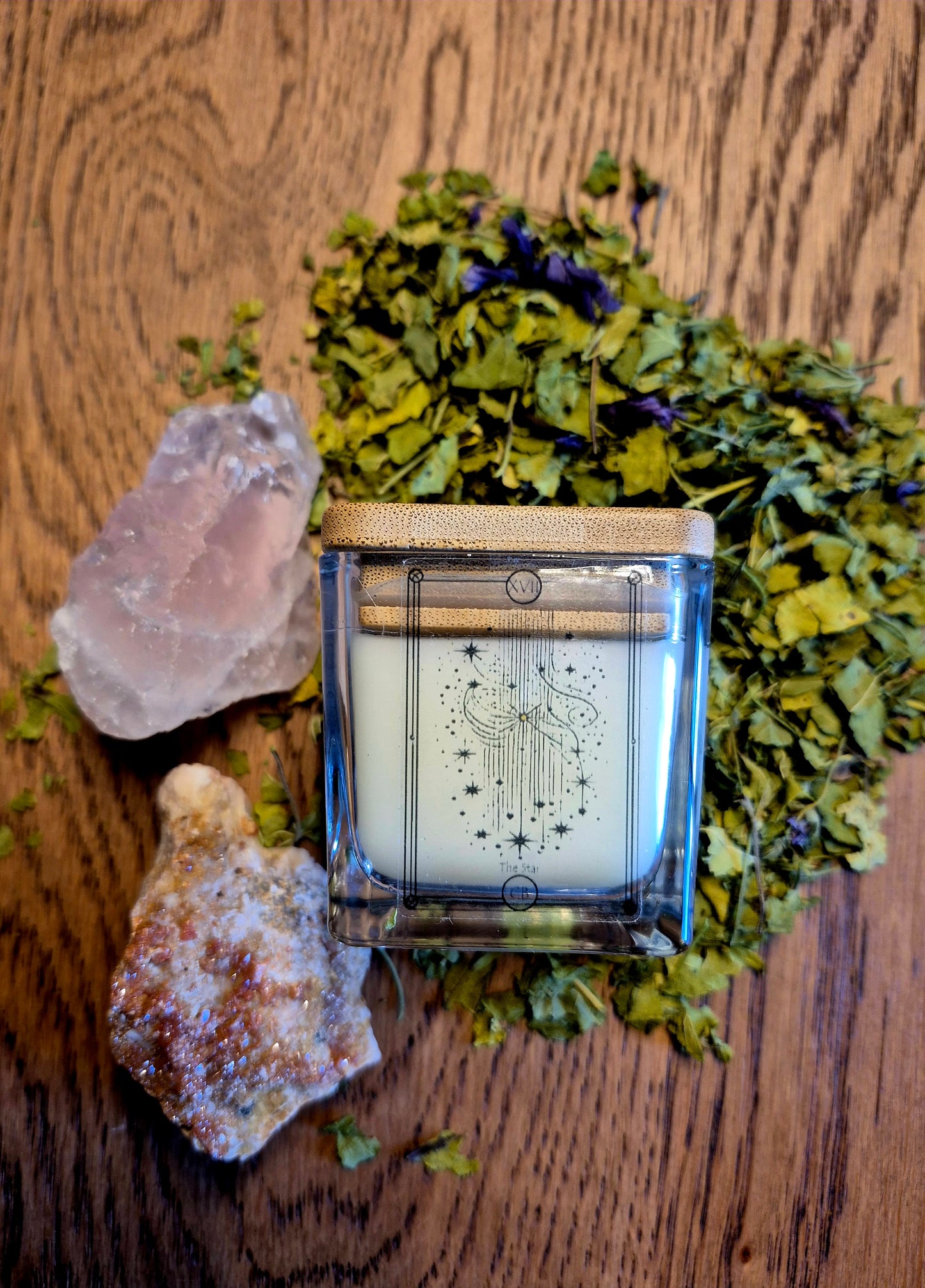 XVII - Candela della Stella