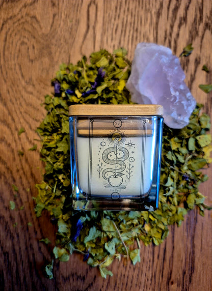 XV - Candela del Diavolo