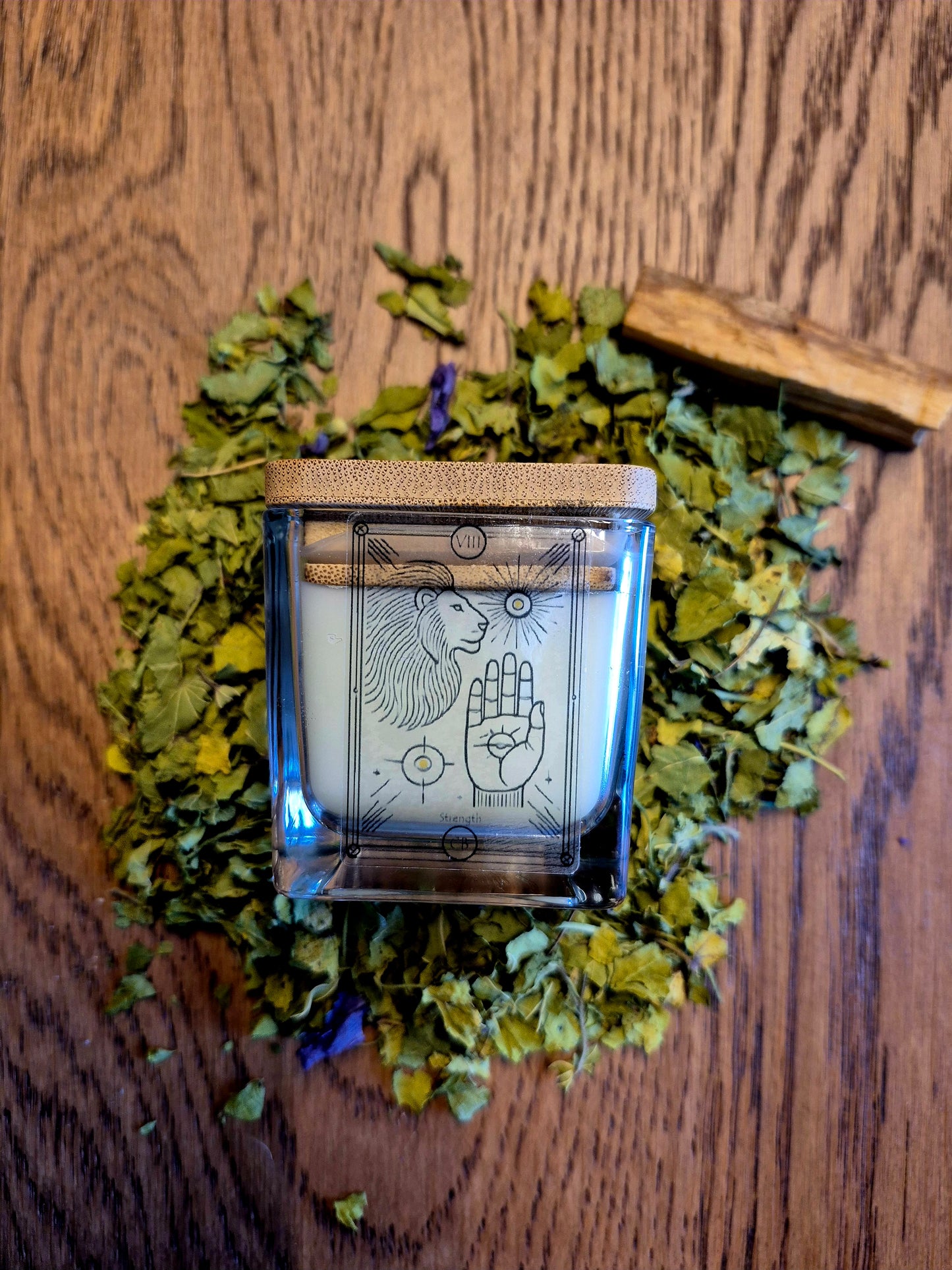 VIII - Candela della Forza